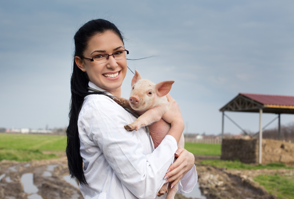 Happy,Young,Veterinarian,Girl,Holding,Cute,Piglet,In,Her,Arms
