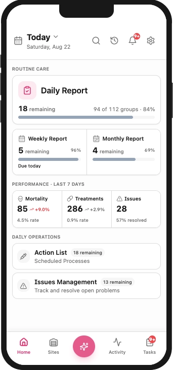 PigFlow Daily Report